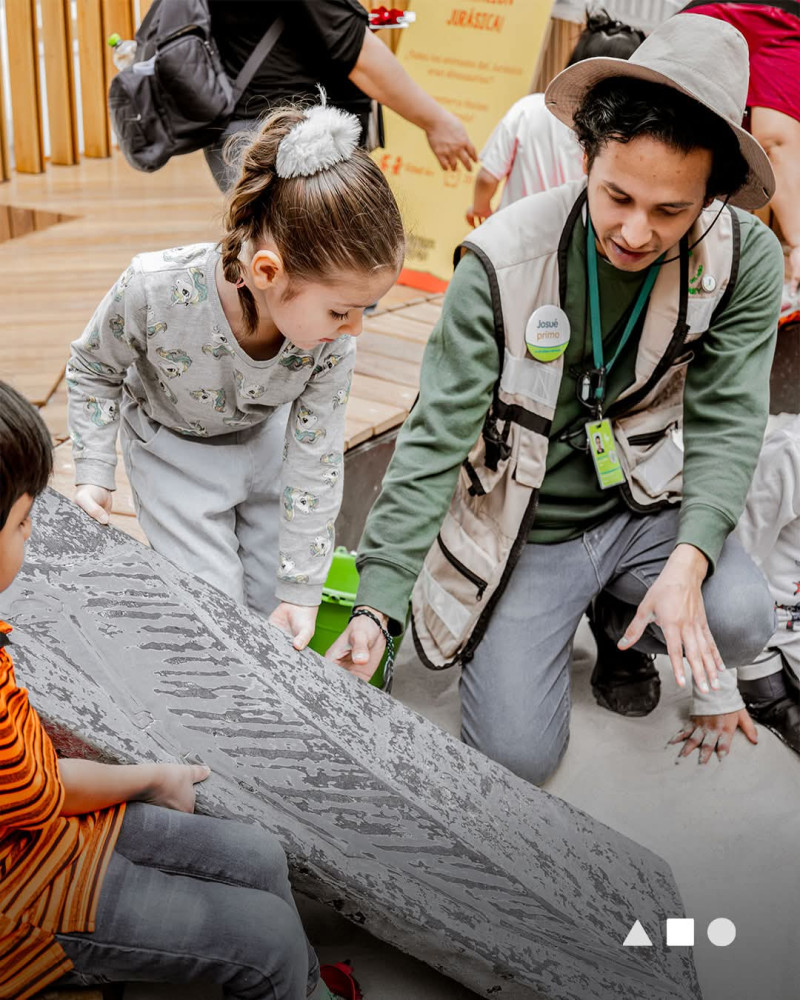 Ver aviso de uso de imágenes y contenido a pie de página.