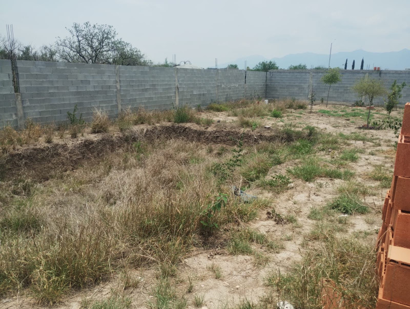 Ver aviso de uso de imágenes y contenido a pie de página.