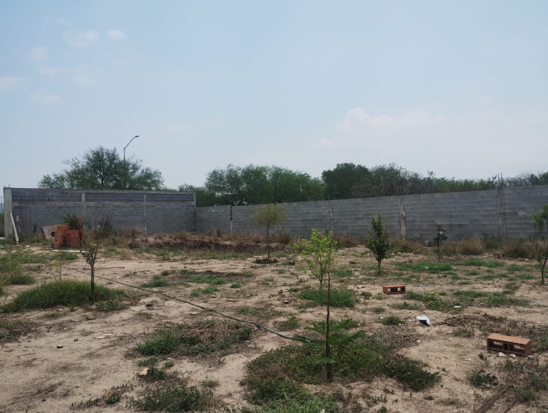 Ver aviso de uso de imágenes y contenido a pie de página.