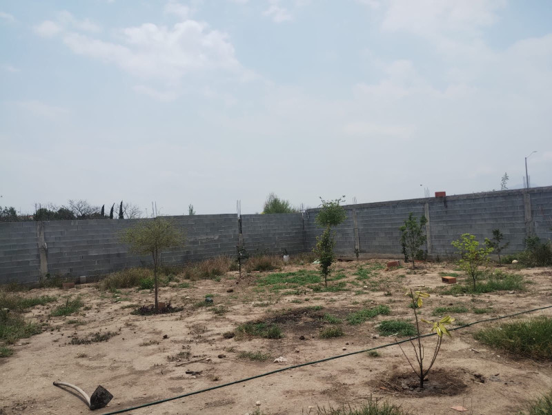 Ver aviso de uso de imágenes y contenido a pie de página.